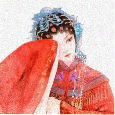 用户芦苇的头像